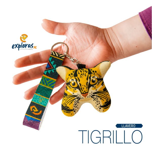 Tigrillo